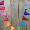 Rainbow bunting
