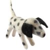 Black spotted dog