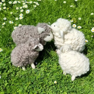 Very woolly sheep