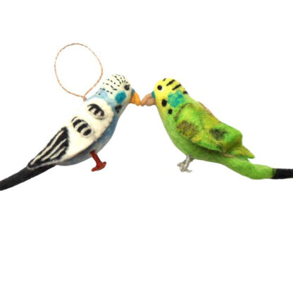 Budgerigars