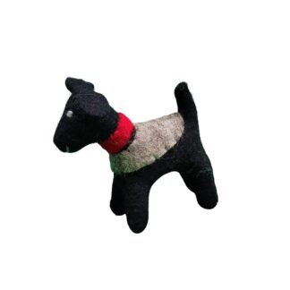 Dog - Alan