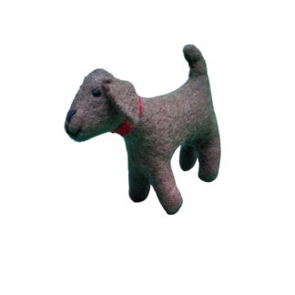 Dog - Anthony
