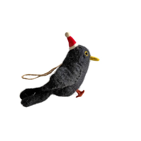 Blackbird in festive hat decoration