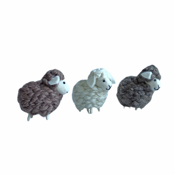 Very woolly sheep - small