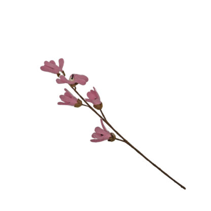 Flowers - pale pink spray - Image 2