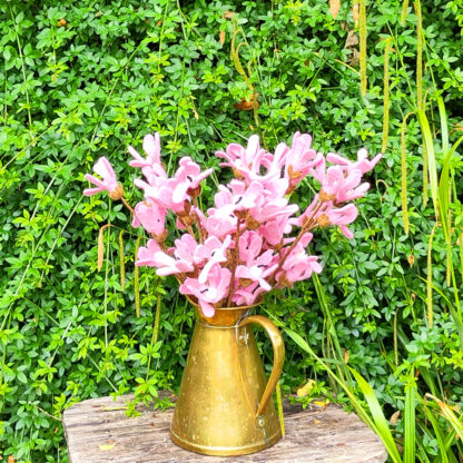 Flowers - pale pink spray