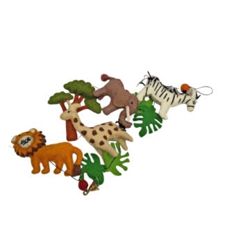 Safari String