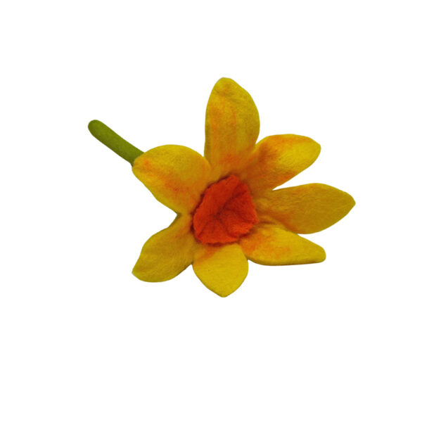 Daffodil