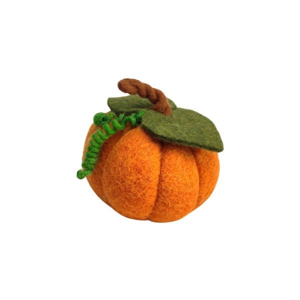 Pumpkin with leaf
