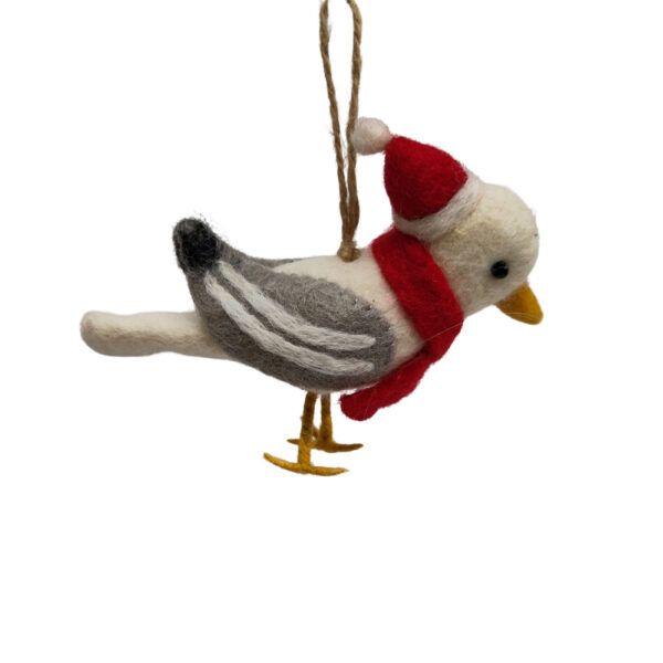 IMG_20260820_110653.jpg - 1 Seagull in hat and scarf