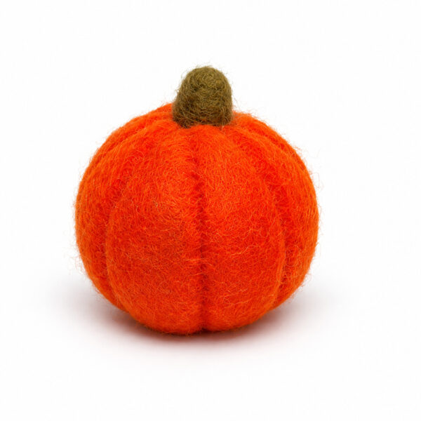 Simple solid pumpkin Pumpkin
